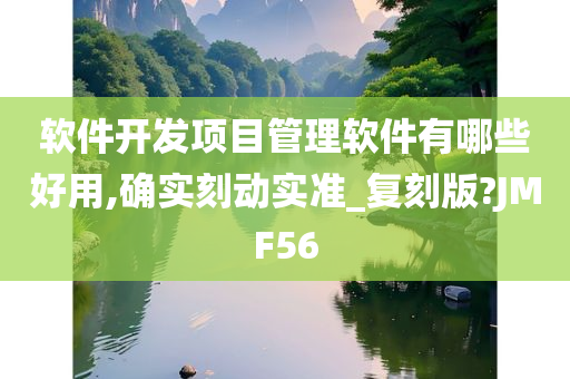 软件开发项目管理软件有哪些好用,确实刻动实准_复刻版?JMF56