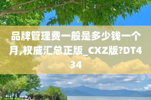 品牌管理费一般是多少钱一个月,权威汇总正版_CXZ版?DT434