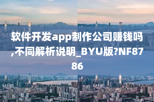 软件开发app制作公司赚钱吗,不同解析说明_BYU版?NF8786