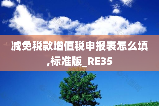 减免税款增值税申报表怎么填,标准版_RE35