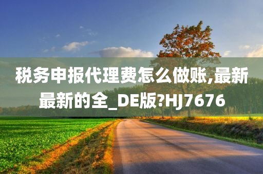 税务申报代理费怎么做账,最新最新的全_DE版?HJ7676