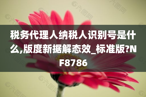 税务代理人纳税人识别号是什么,版度新据解态效_标准版?NF8786