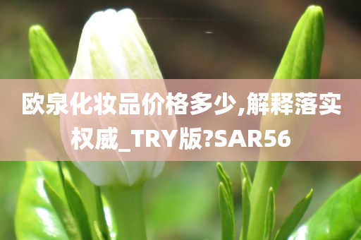 欧泉化妆品价格多少,解释落实权威_TRY版?SAR56