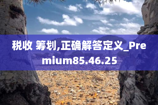 税收 筹划,正确解答定义_Premium85.46.25