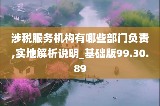 涉税服务机构有哪些部门负责,实地解析说明_基础版99.30.89