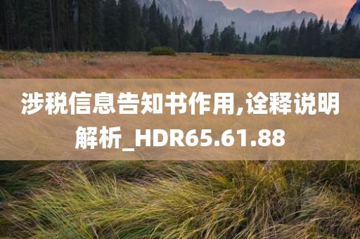 涉税信息告知书作用,诠释说明解析_HDR65.61.88