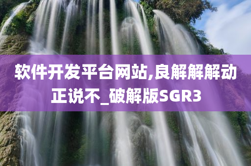 软件开发平台网站,良解解解动正说不_破解版SGR3