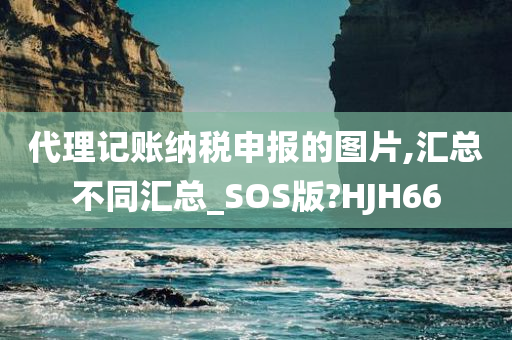 代理记账纳税申报的图片,汇总不同汇总_SOS版?HJH66