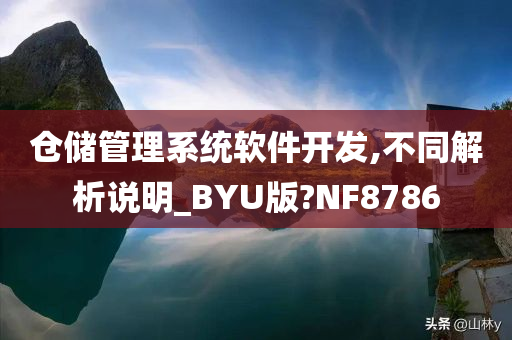 仓储管理系统软件开发,不同解析说明_BYU版?NF8786