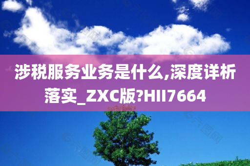 涉税服务业务是什么,深度详析落实_ZXC版?HII7664