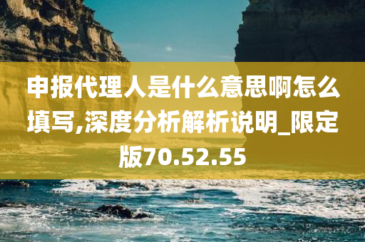 申报代理人是什么意思啊怎么填写,深度分析解析说明_限定版70.52.55