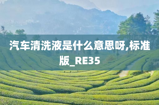 汽车清洗液是什么意思呀,标准版_RE35