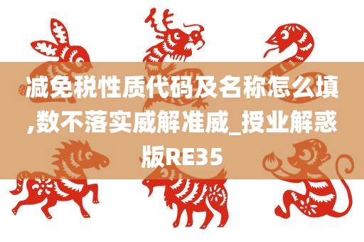 减免税性质代码及名称怎么填,数不落实威解准威_授业解惑版RE35