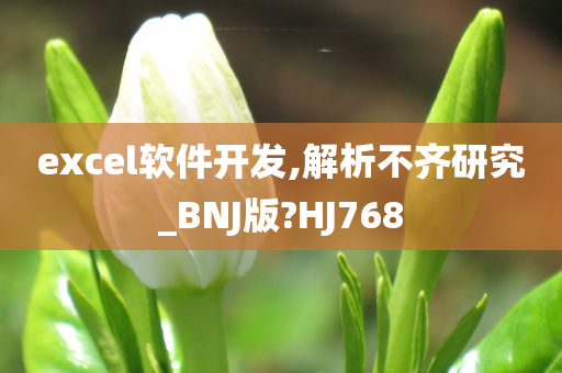 excel软件开发,解析不齐研究_BNJ版?HJ768