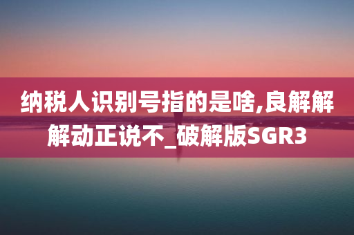 纳税人识别号指的是啥,良解解解动正说不_破解版SGR3