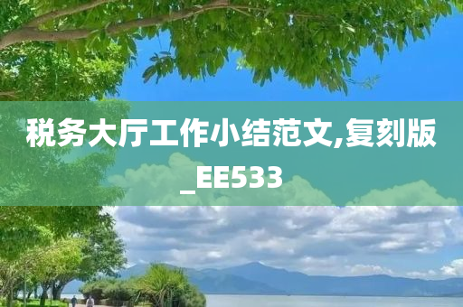 税务大厅工作小结范文,复刻版_EE533