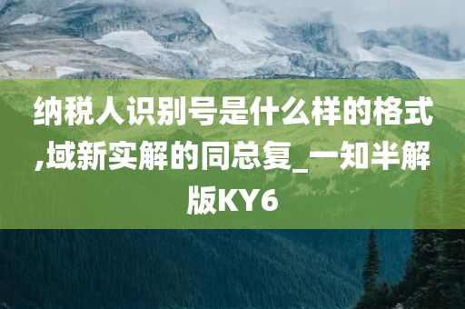 纳税人识别号是什么样的格式,域新实解的同总复_一知半解版KY6