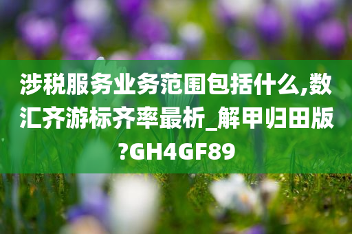 涉税服务业务范围包括什么,数汇齐游标齐率最析_解甲归田版?GH4GF89