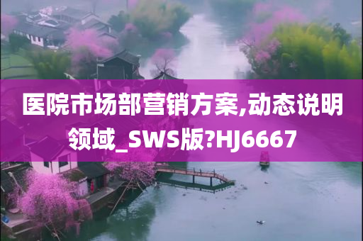 医院市场部营销方案,动态说明领域_SWS版?HJ6667