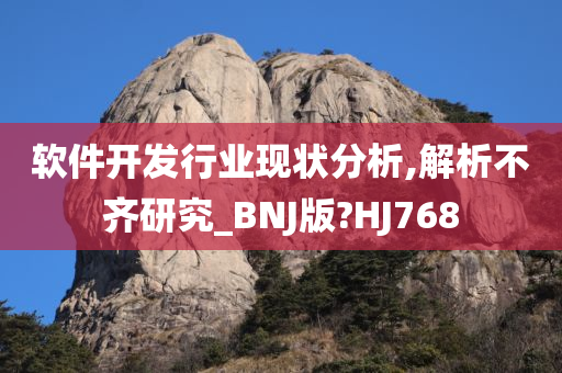 软件开发行业现状分析,解析不齐研究_BNJ版?HJ768