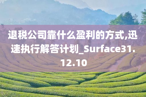 退税公司靠什么盈利的方式,迅速执行解答计划_Surface31.12.10