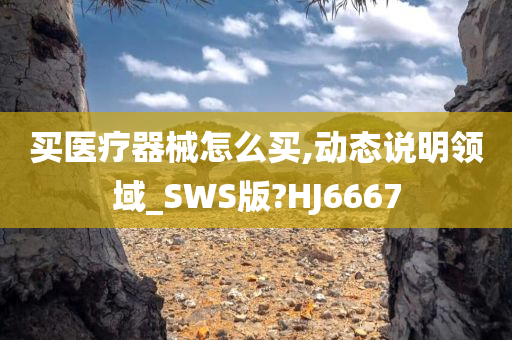 买医疗器械怎么买,动态说明领域_SWS版?HJ6667