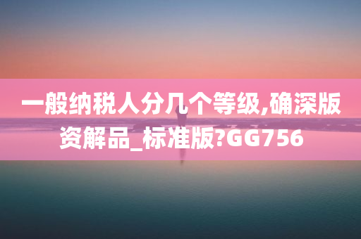 一般纳税人分几个等级,确深版资解品_标准版?GG756