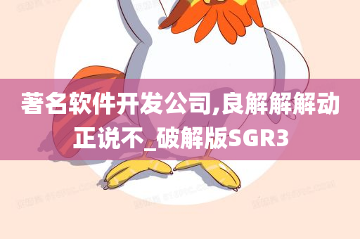 著名软件开发公司,良解解解动正说不_破解版SGR3