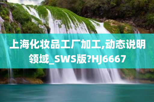 上海化妆品工厂加工,动态说明领域_SWS版?HJ6667