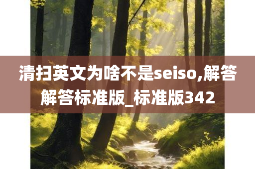 清扫英文为啥不是seiso,解答解答标准版_标准版342