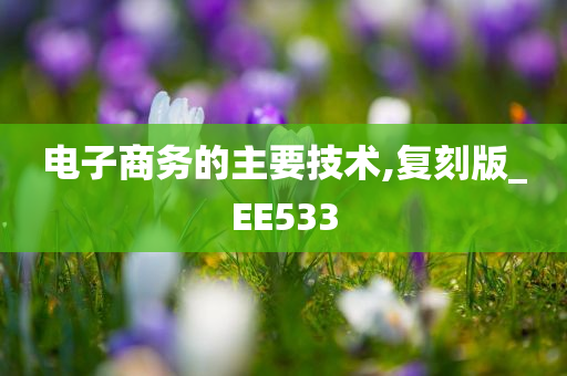 电子商务的主要技术,复刻版_EE533