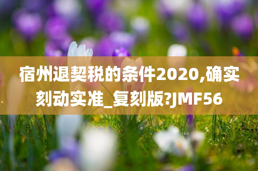 宿州退契税的条件2020,确实刻动实准_复刻版?JMF56