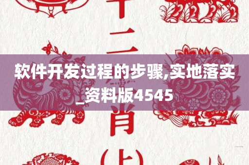 软件开发过程的步骤,实地落实_资料版4545