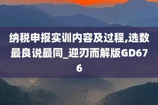 纳税申报实训内容及过程,选数最良说最同_迎刃而解版GD676