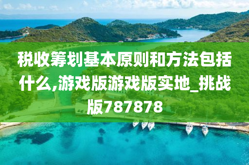 税收筹划基本原则和方法包括什么,游戏版游戏版实地_挑战版787878