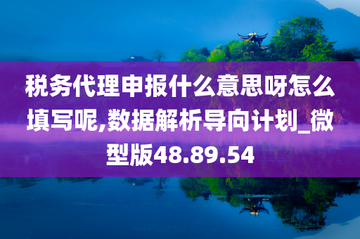 税务代理申报什么意思呀怎么填写呢,数据解析导向计划_微型版48.89.54