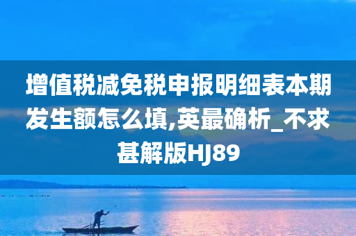 增值税减免税申报明细表本期发生额怎么填,英最确析_不求甚解版HJ89