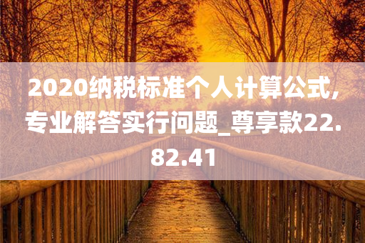 2020纳税标准个人计算公式,专业解答实行问题_尊享款22.82.41