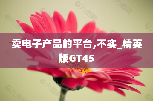 卖电子产品的平台,不实_精英版GT45