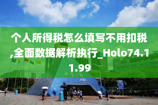 个人所得税怎么填写不用扣税,全面数据解析执行_Holo74.11.99