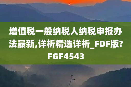 增值税一般纳税人纳税申报办法最新,详析精选详析_FDF版?FGF4543