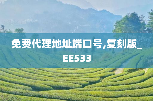 免费代理地址端口号,复刻版_EE533