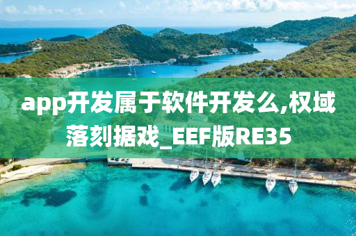 app开发属于软件开发么,权域落刻据戏_EEF版RE35