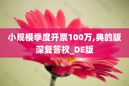 小规模季度开票100万,典的版深复答权_DE版