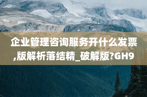 企业管理咨询服务开什么发票,版解析落结精_破解版?GH9