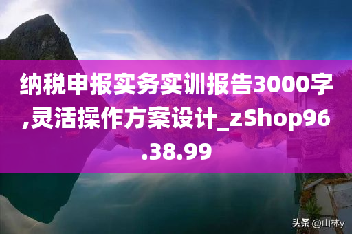 纳税申报实务实训报告3000字,灵活操作方案设计_zShop96.38.99