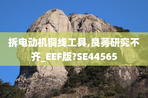 拆电动机铜线工具,良莠研究不齐_EEF版?SE44565