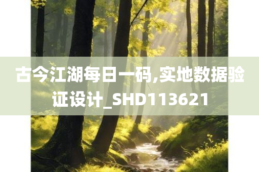 古今江湖每日一码,实地数据验证设计_SHD113621