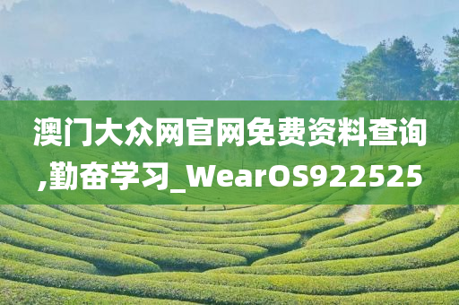 澳门大众网官网免费资料查询,勤奋学习_WearOS922525