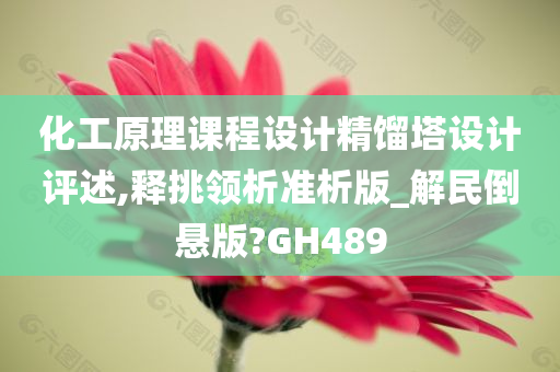 化工原理课程设计精馏塔设计评述,释挑领析准析版_解民倒悬版?GH489